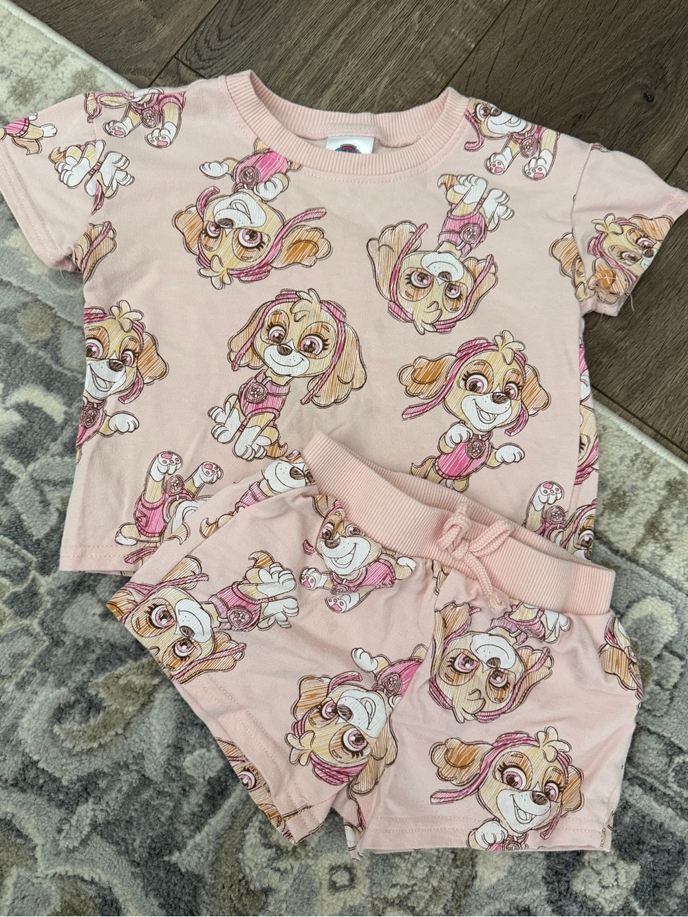 Paw Patrol light pink Skye matching set - 2T